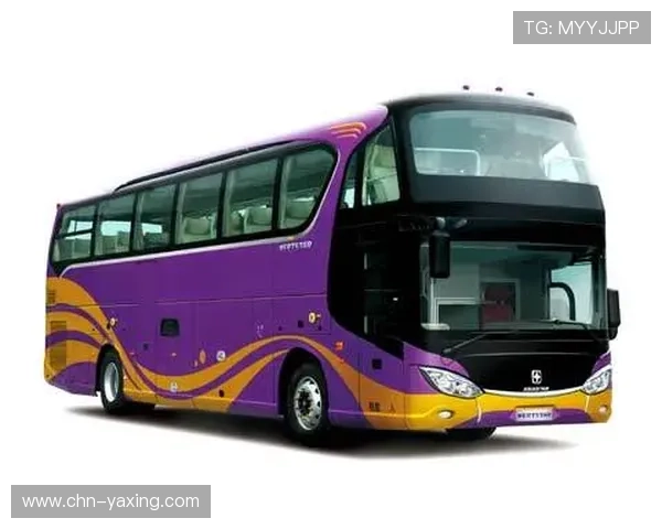 亚星官网平台的使用指南与操作流程详解