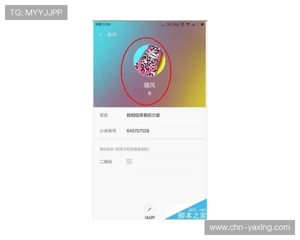 亚星官网会员登录入口：详细步骤指导帮助新用户顺利登录
