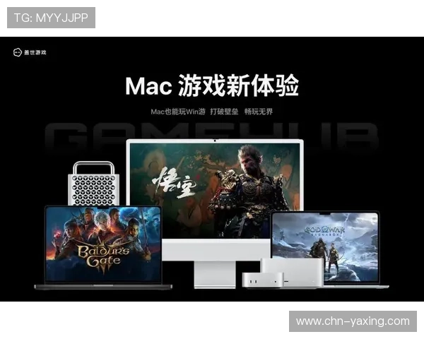 亚星游戏平台是缅甸数字娱乐行业的佼佼者，推动本地游戏产业的快速发展