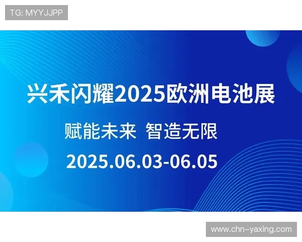 亚星222官网登录入口更新通知，及时掌握最新登录方式和安全措施