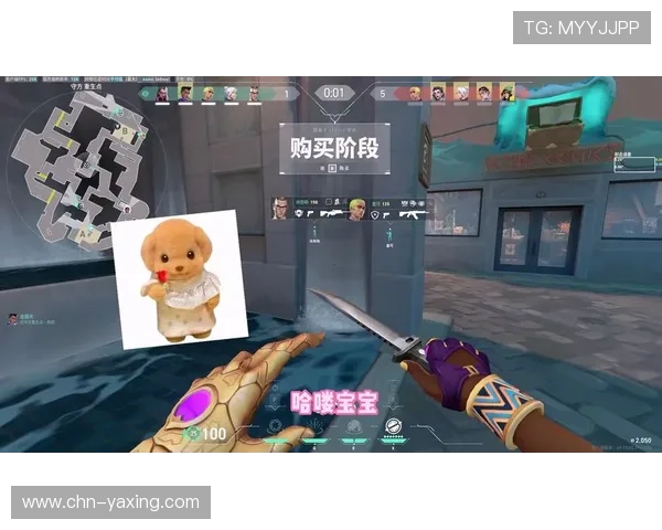 亚星平台官网首页详细介绍游戏特色玩法与最新版本内容，提升你的游戏体验