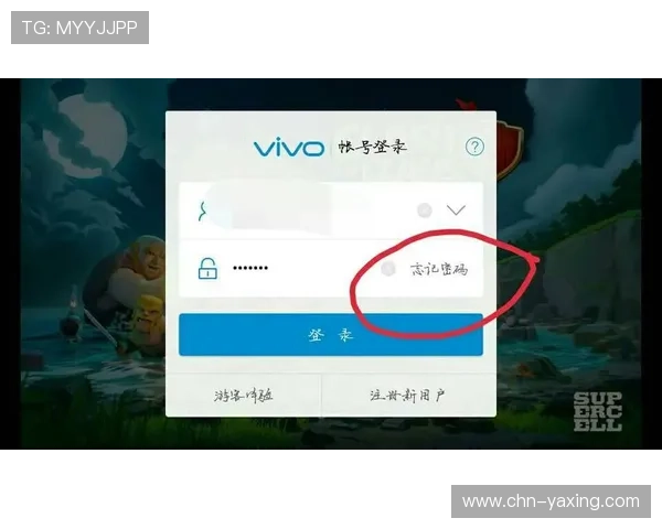 亚星游戏官网登录入口忘记密码的常见问题及快速解决方法详解