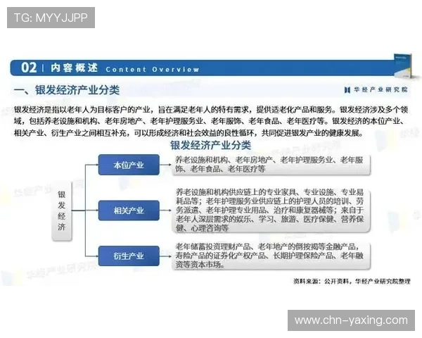 山东潍坊亚星集团最新消息全面解析2024年公司发展动态与未来规划